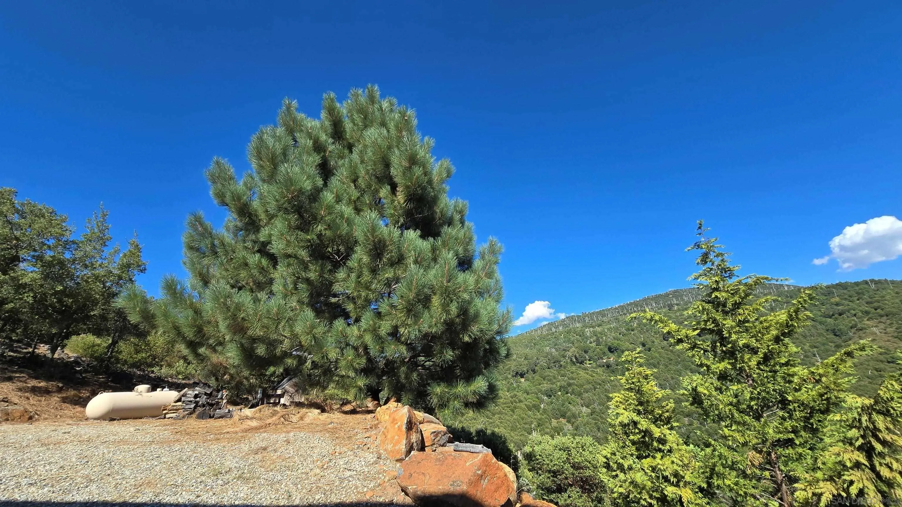 8048 High Hill Road Julian, CA 92036 - Photo 26 of 30 a view of a plant in a garden