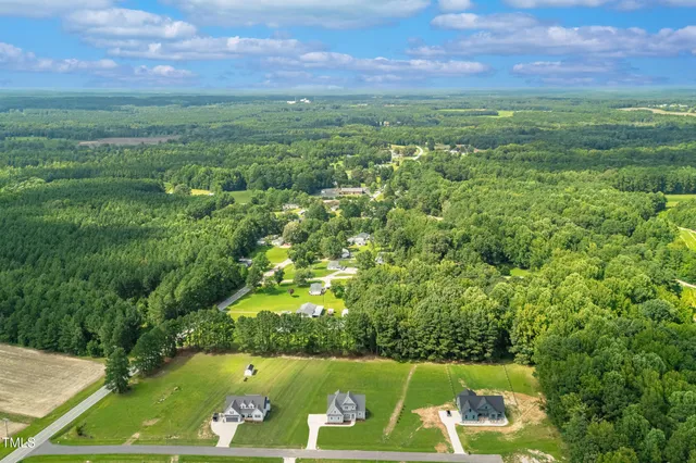 a view of a lush green space
