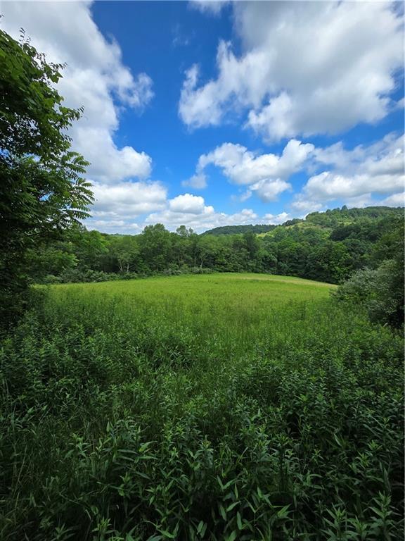 133 Lower Hayes Road Kittanning, PA 16201 - Photo 39 of 48