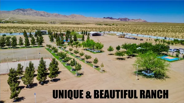 a view of outdoor space with garden and trees