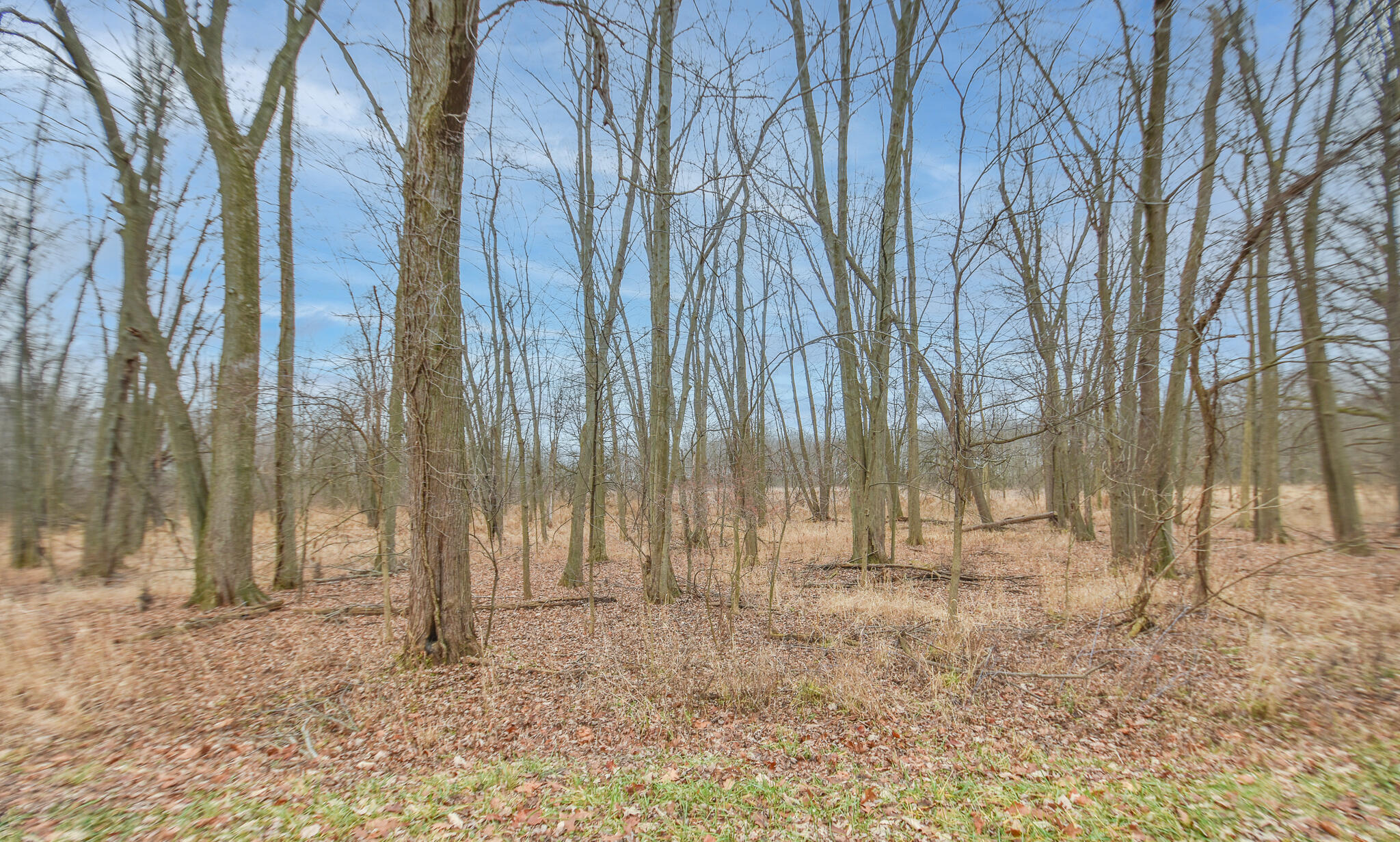 DSC_0008-Edit