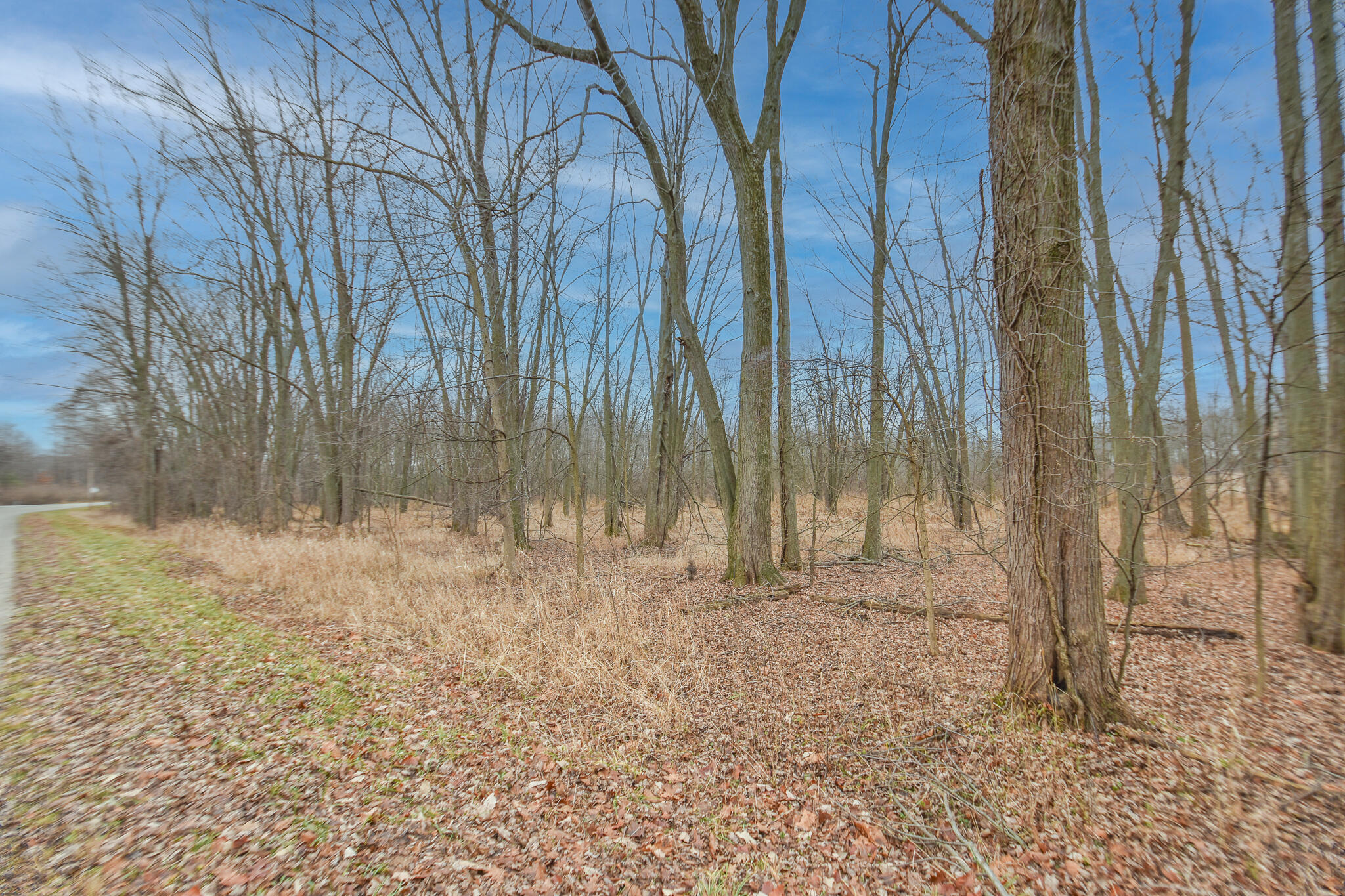 Grass Lake Road Coldwater, MI 49036 - Photo 2 of 5 DSC_0009-Edit