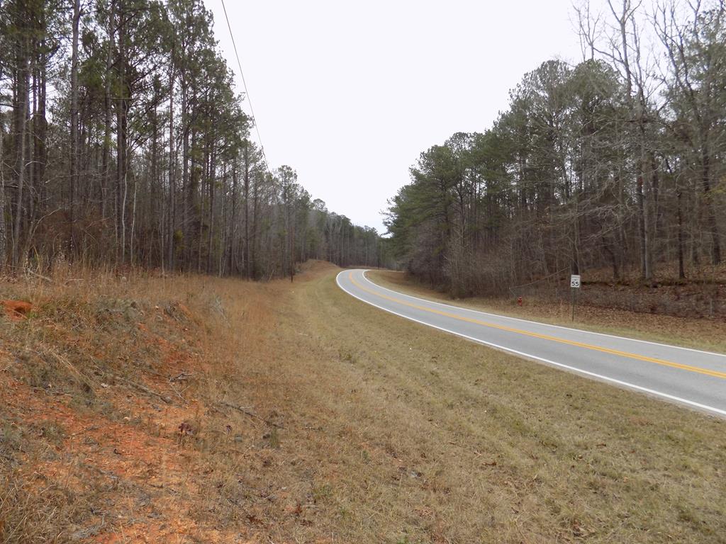 C Lower Blue Springs Road Hamilton, GA 31811 - Photo 1 of 6 Main View