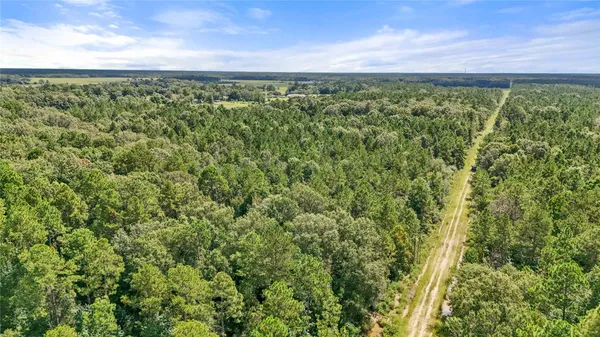 a view of a with large trees