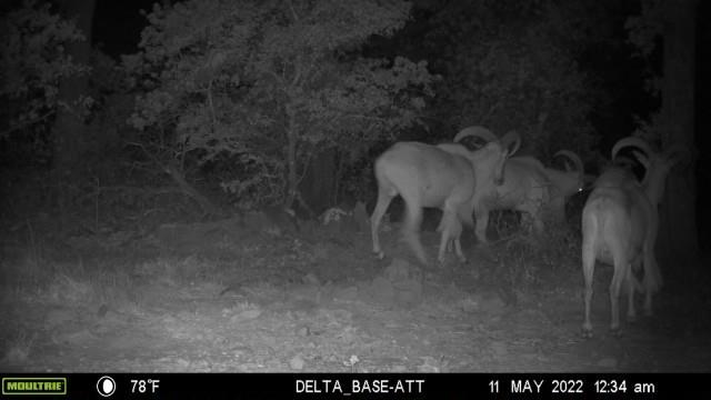 1390 Clayton Mt Road Gordon, TX 76453 - Photo 14 of 21 a view of a room with table and chair