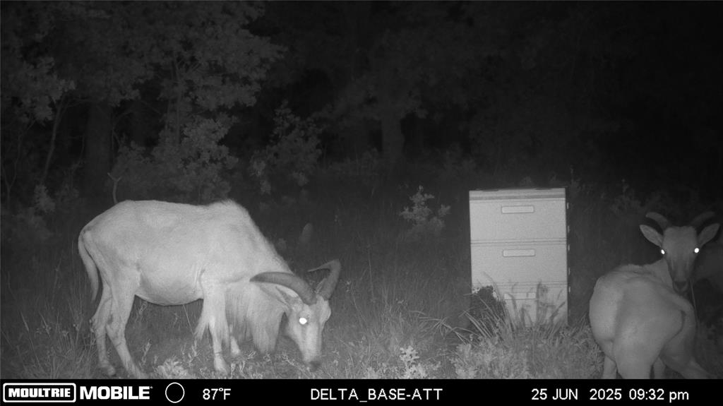 1390 Clayton Mt Road Gordon, TX 76453 - Photo 15 of 21