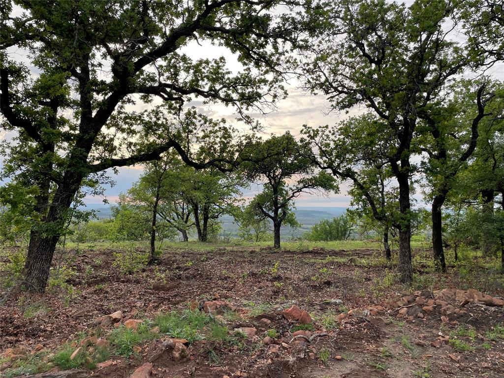 1390 Clayton Mt Road Gordon, TX 76453 - Photo 16 of 21 a view of outdoor space and tree