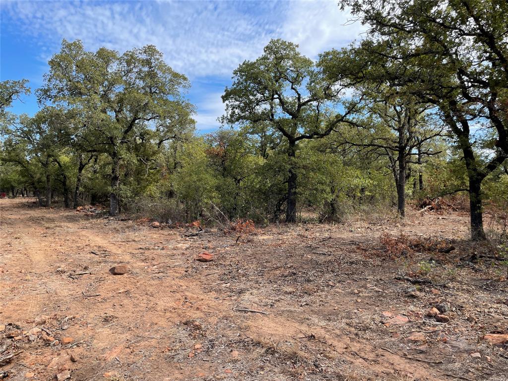 1390 Clayton Mt Road Gordon, TX 76453 - Photo 18 of 21 a view of a yard with a tree