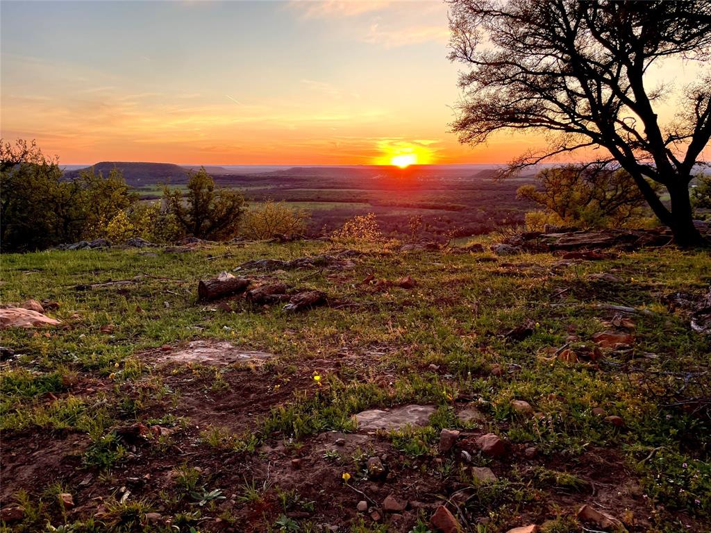 1390 Clayton Mt Road Gordon, TX 76453 - Photo 20 of 21 a view of a forest with trees