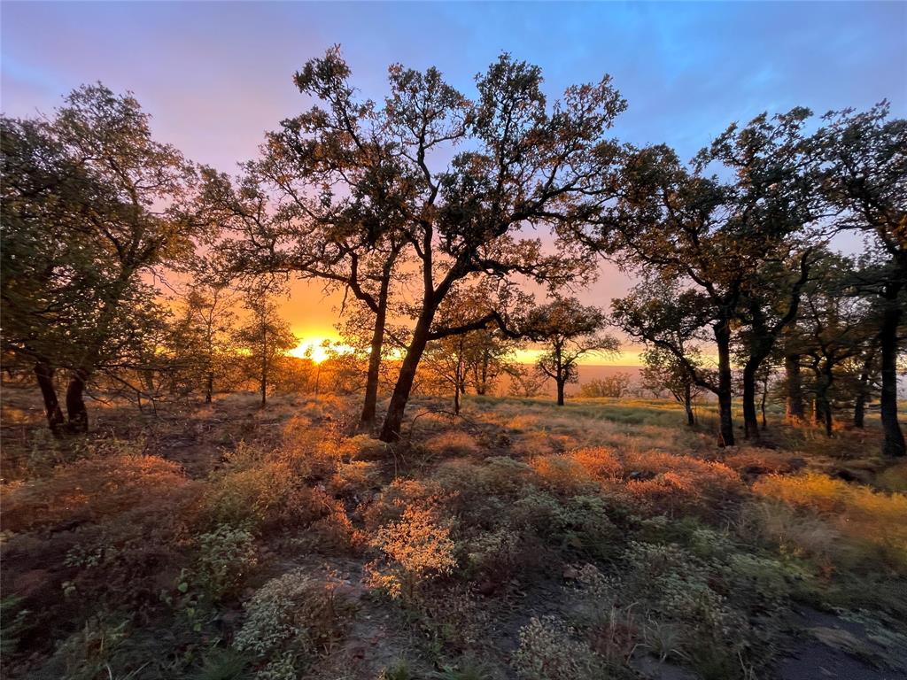 1390 Clayton Mt Road Gordon, TX 76453 - Photo 21 of 21 a view of a yard with a tree