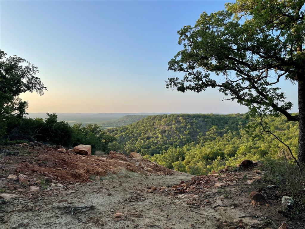 1390 Clayton Mt Road Gordon, TX 76453 - Photo 4 of 21 a view of a yard with a tree