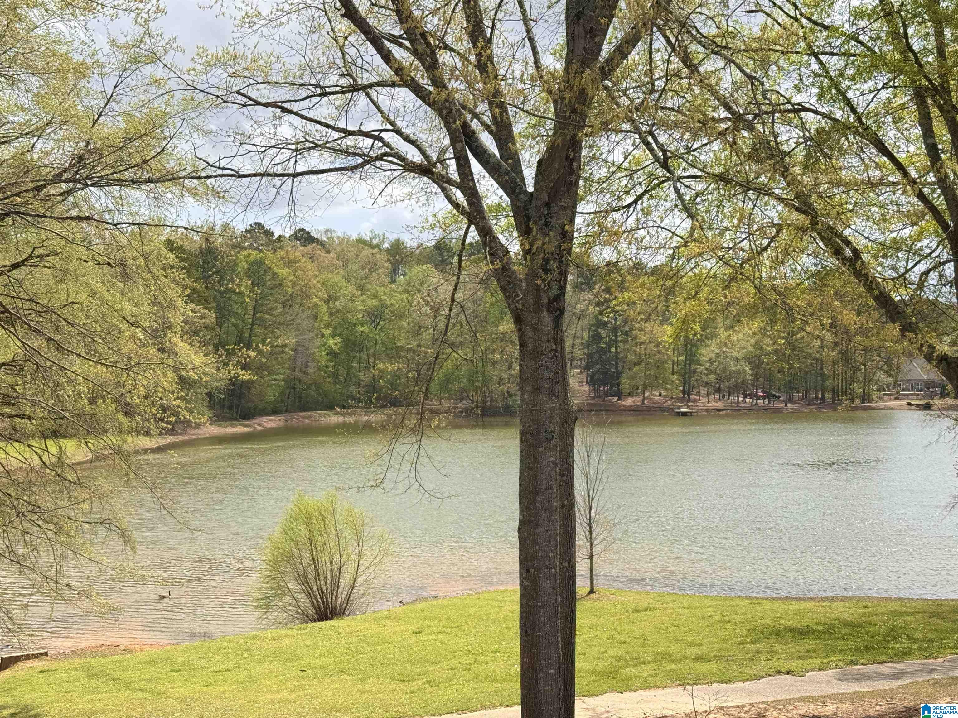 228 Red Bay Drive Alabaster, AL 35114 - Photo 21 of 80