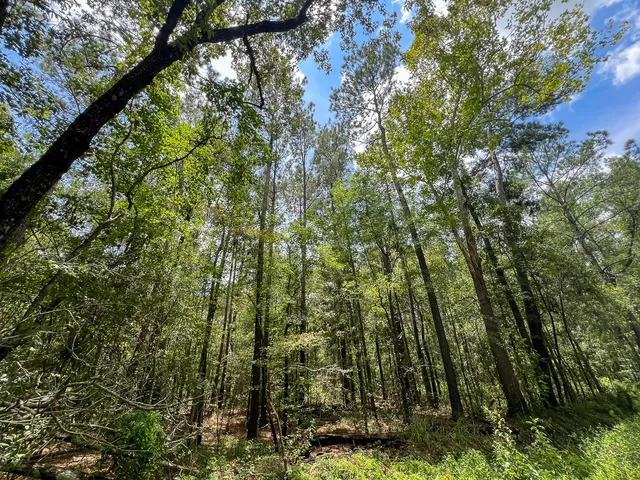 a view of a road with a yard