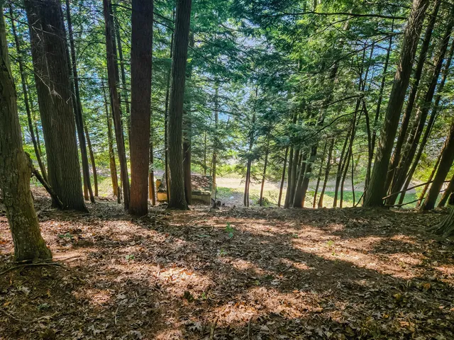 $305,000 | 5341 North Benson Road, Fountain, MI 49410