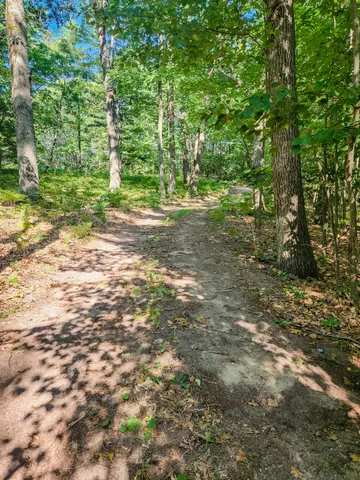 $305,000 | 5341 North Benson Road, Fountain, MI 49410