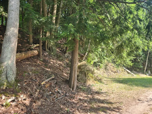 $305,000 | 5341 North Benson Road, Fountain, MI 49410