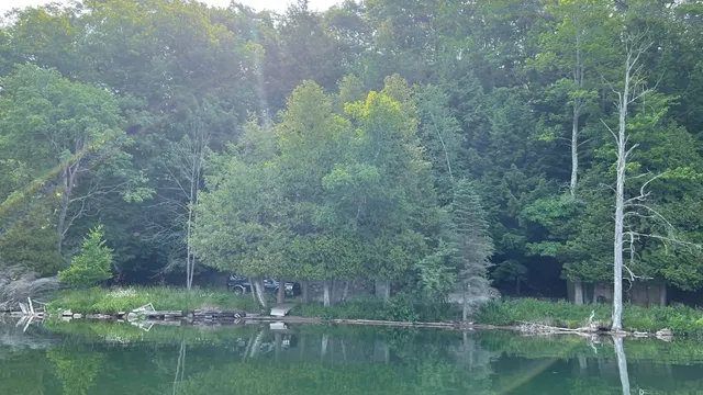 $305,000 | 5341 North Benson Road, Fountain, MI 49410