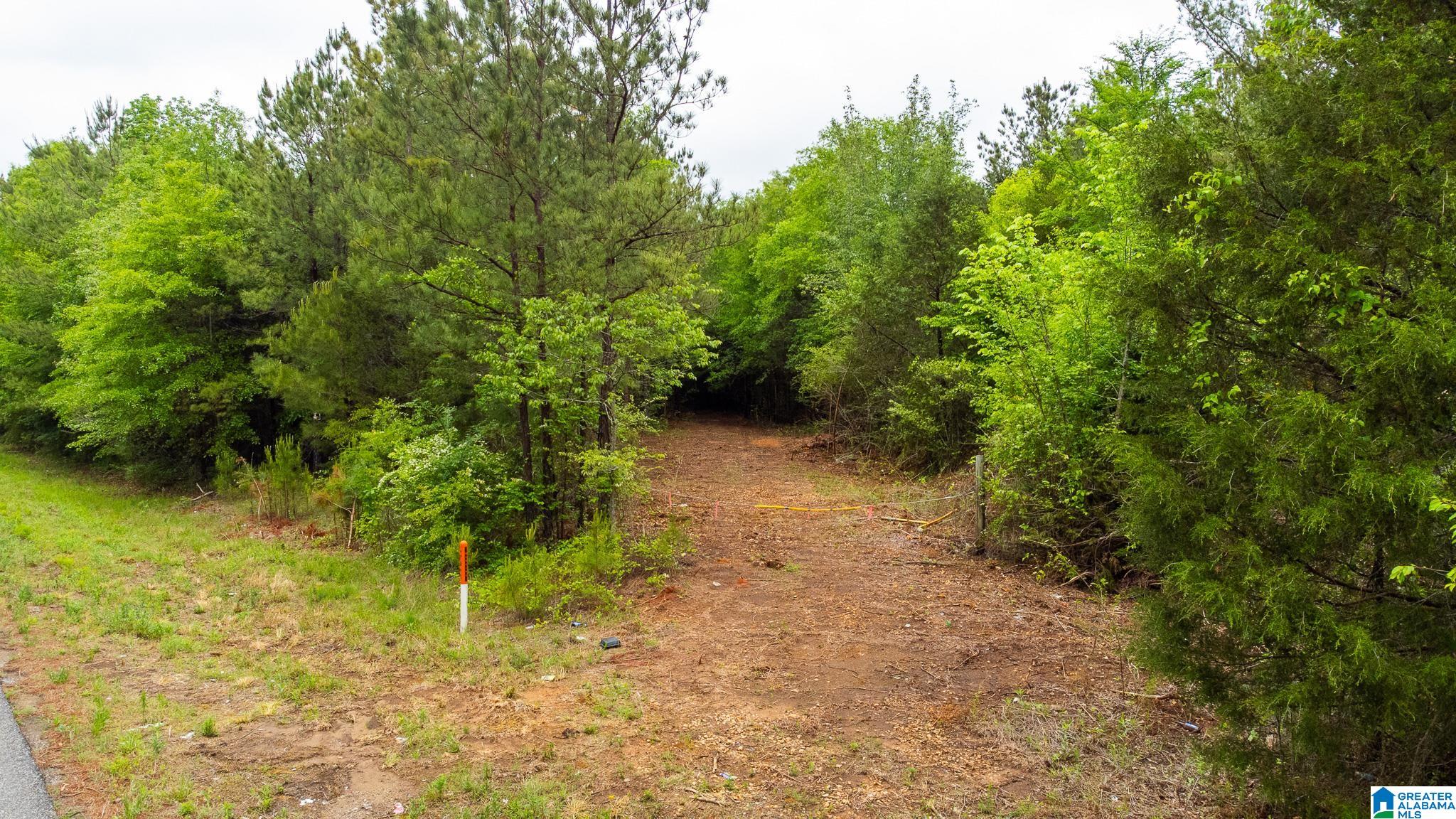 0 Cove Access Road, Unit 28 Talladega, AL 35160 - Photo 7 of 12