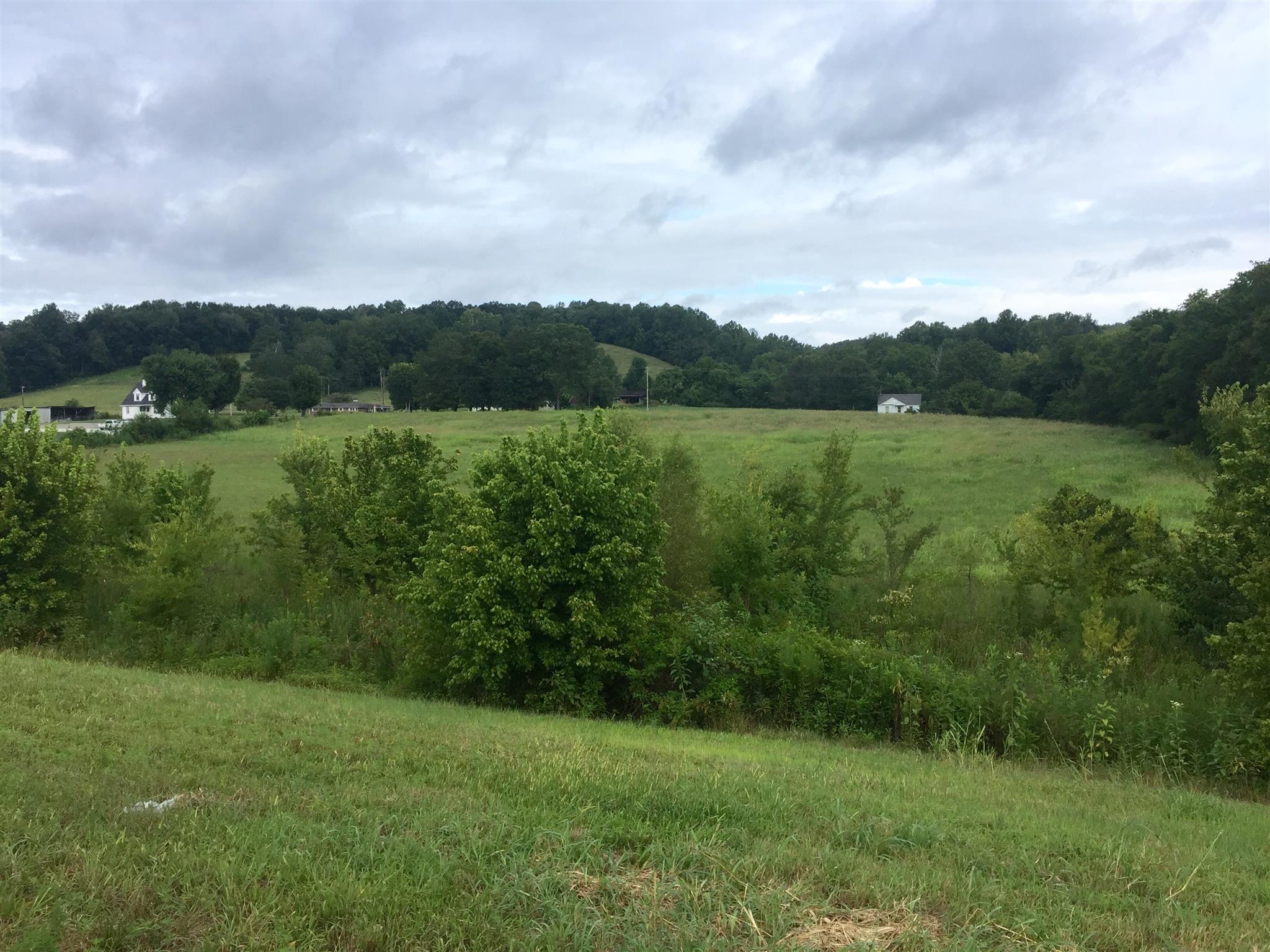 0 Bodenham Road Pulaski, TN 38478 - Photo 3 of 6