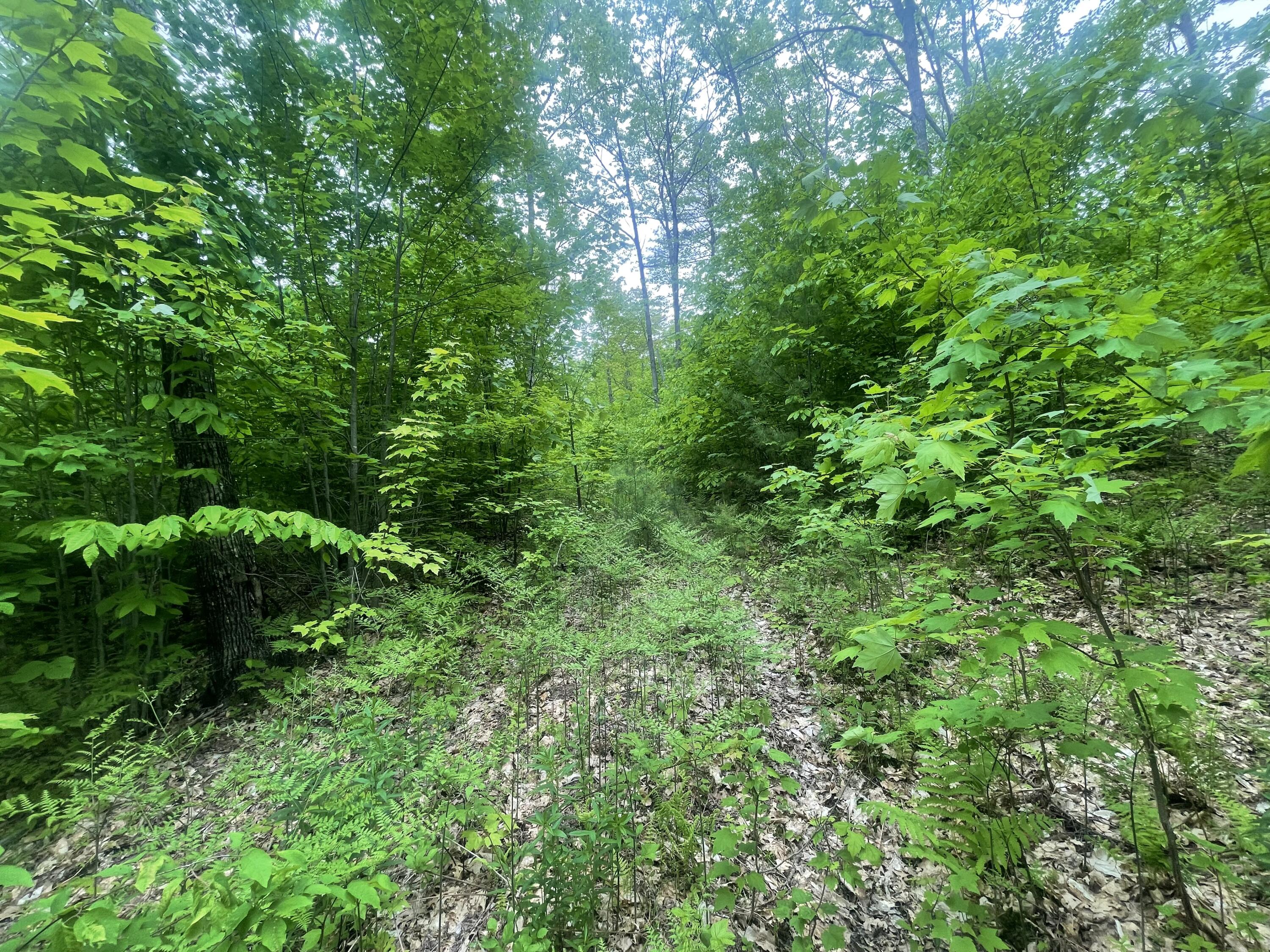 M13-l9-2 Intervale Road Bethel, ME 04217 - Photo 3 of 7 IMG_7551
