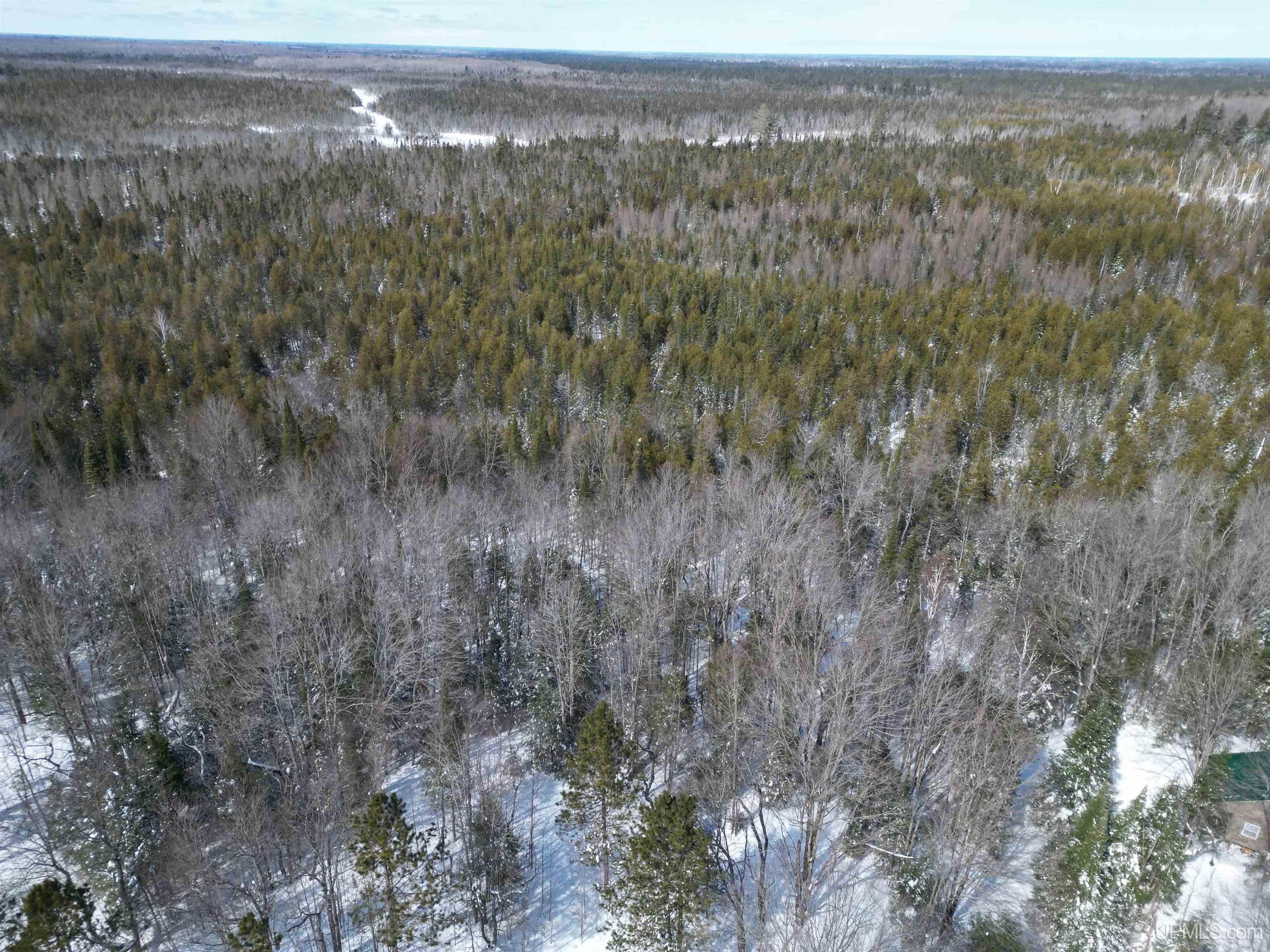 Tbd West Smith Lake Road Manistique, MI 49854 - Photo 12 of 20