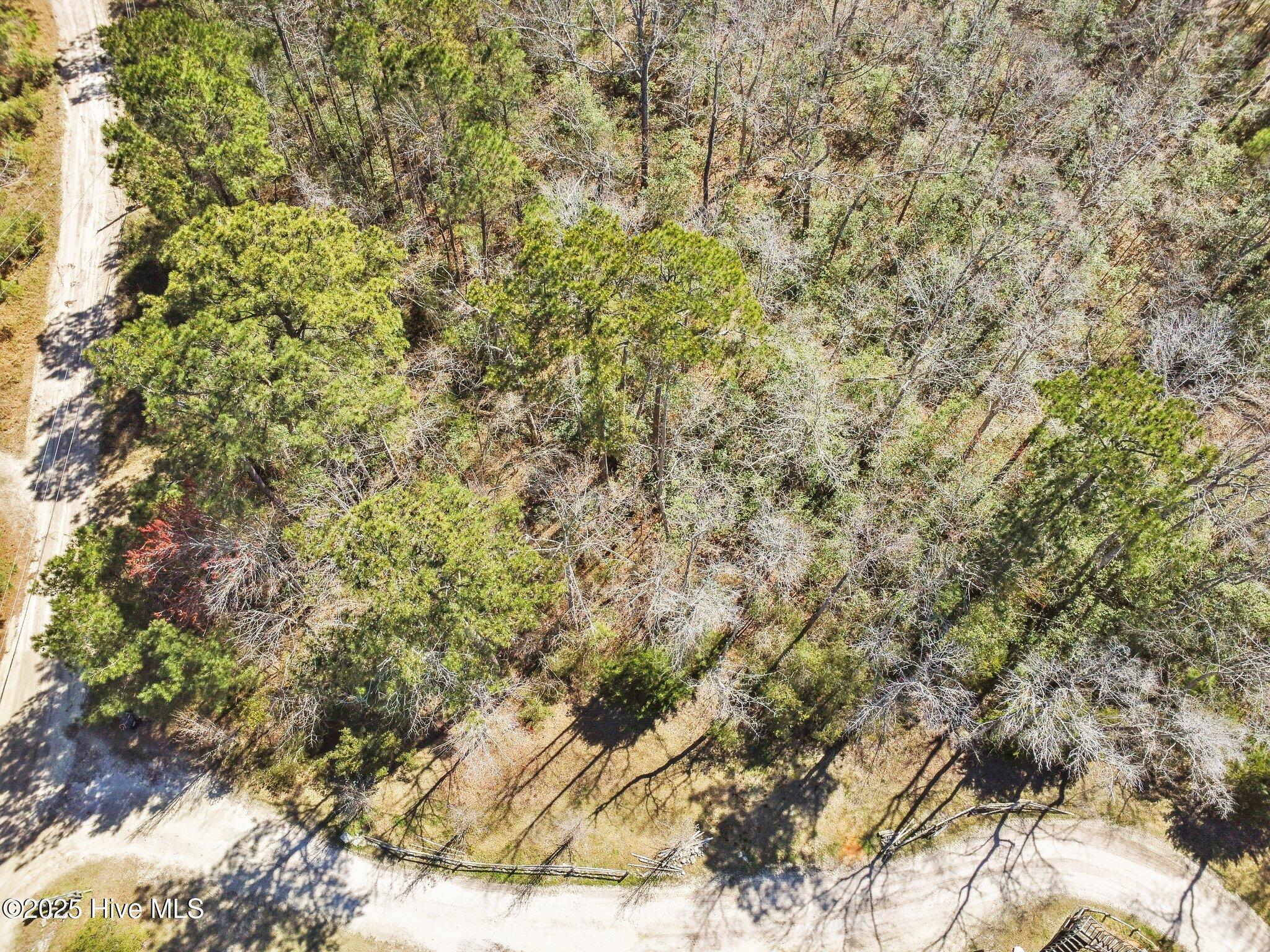 310 Clearview Drive Holly Ridge, NC 28445 - Photo 7 of 23 4-web-or-mls-04