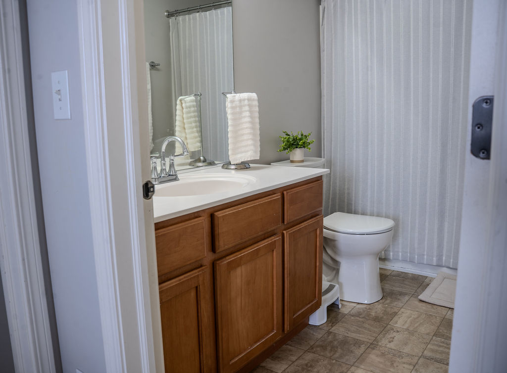 250 Tiger Street Bolingbrook, IL 60490 - Photo 18 of 36 a bathroom with a sink and a toilet