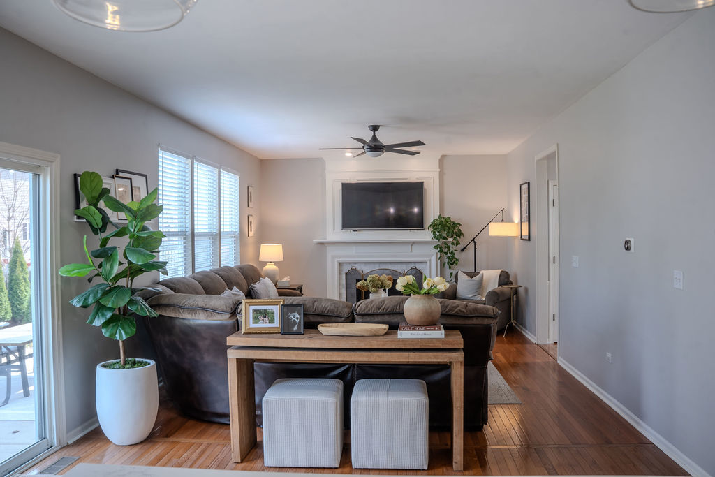 250 Tiger Street Bolingbrook, IL 60490 - Photo 10 of 36 a living room with furniture a potted plant and a potted plant