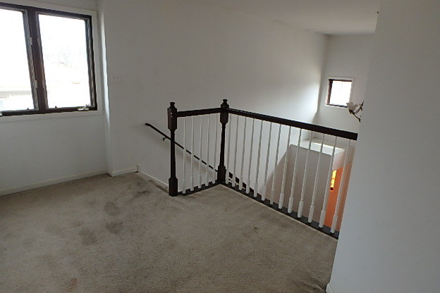 11048 Menard Avenue Chicago Ridge, IL 60415 - Photo 9 of 19