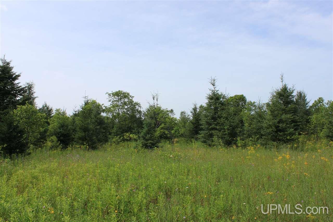 Tbd Riley Road Shingleton, MI 49884 - Photo 8 of 24
