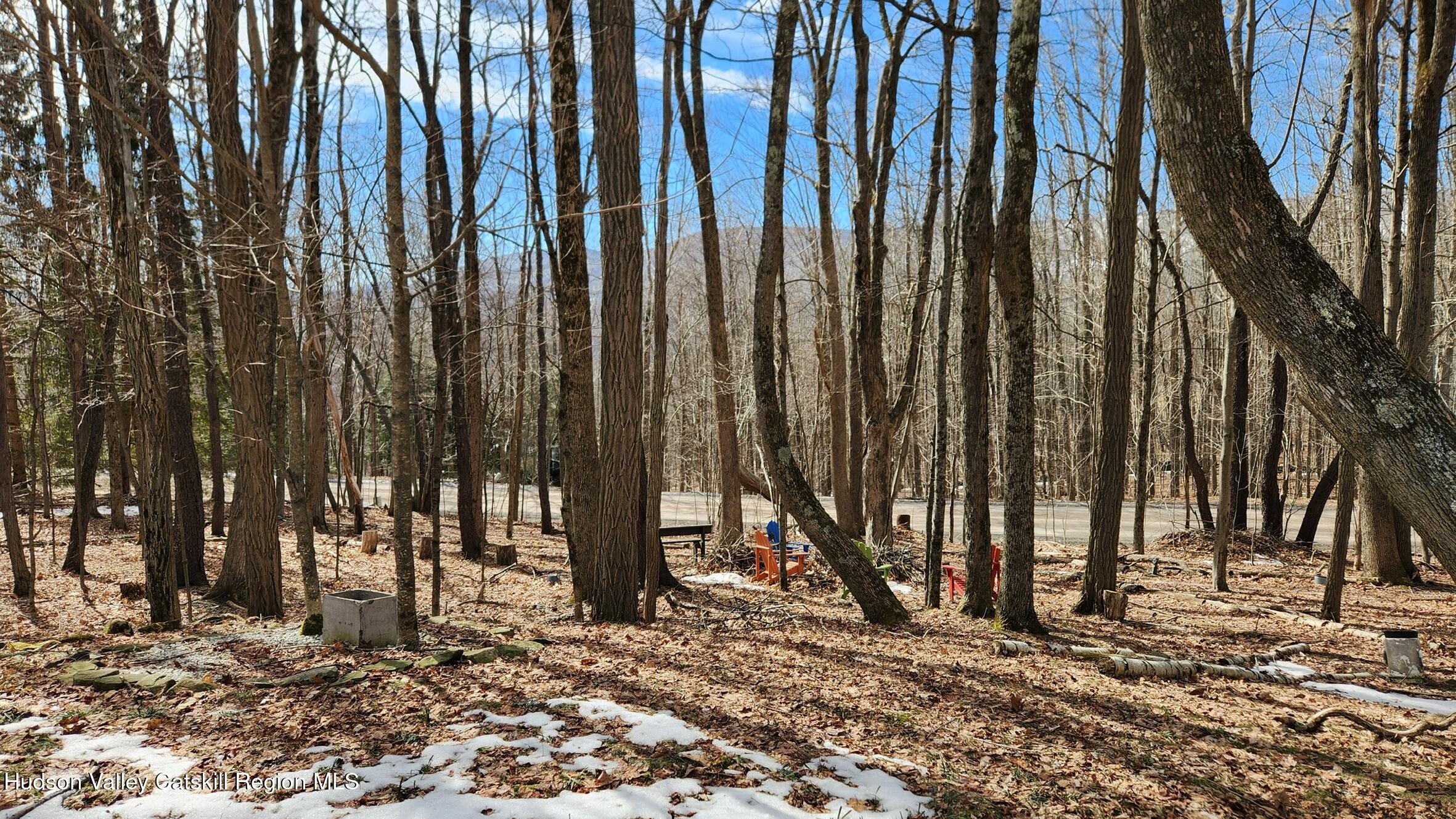 154 Barley Road Pine Hill, NY 12465 - Photo 40 of 40 6D23D90A-1794-4E86-B8FB-89FA3D1A359B_1_1