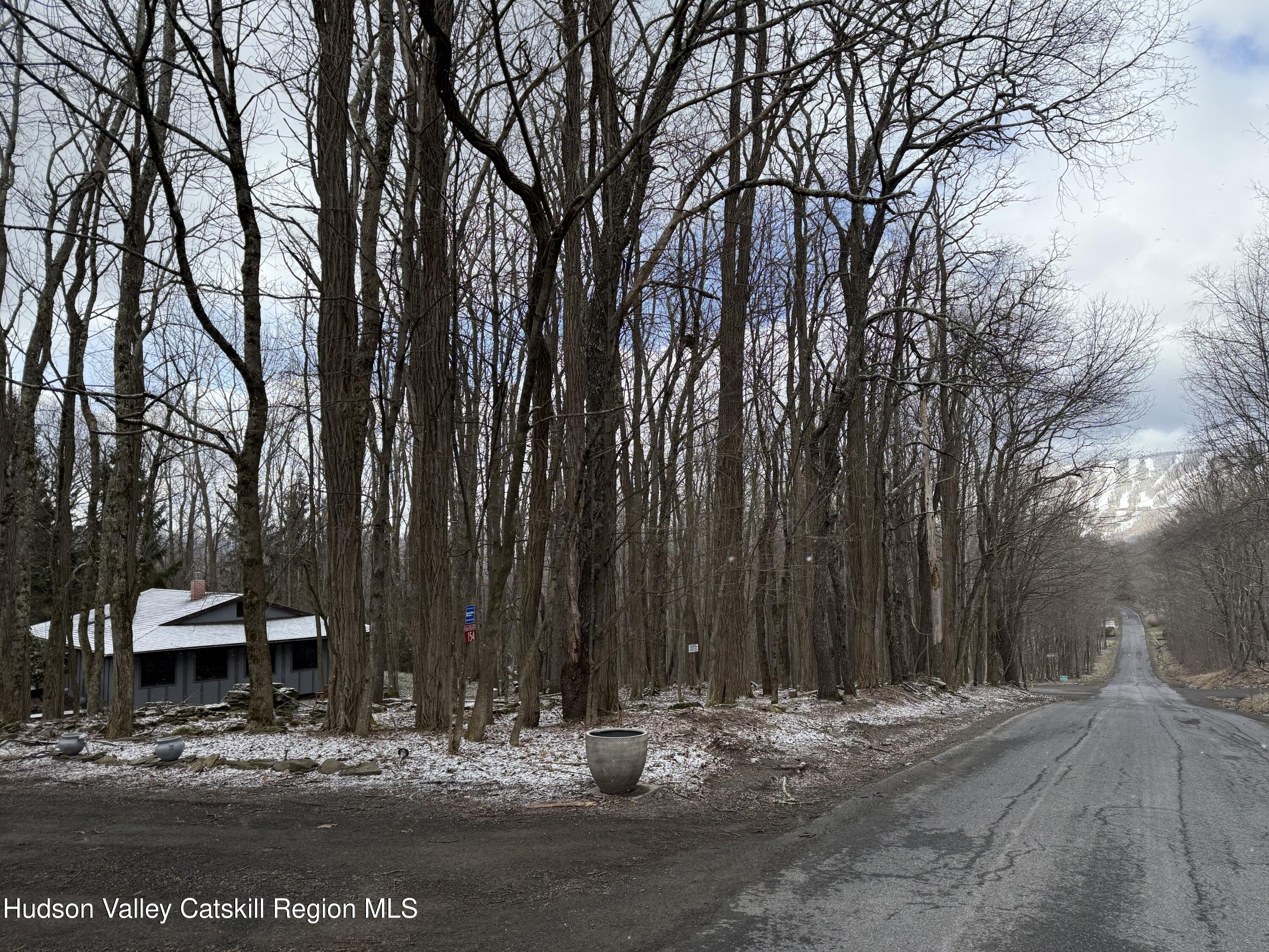 154 Barley Road Pine Hill, NY 12465 - Photo 5 of 40 0DE41832-6231-4AD6-8C55-A907B8EAA3F6