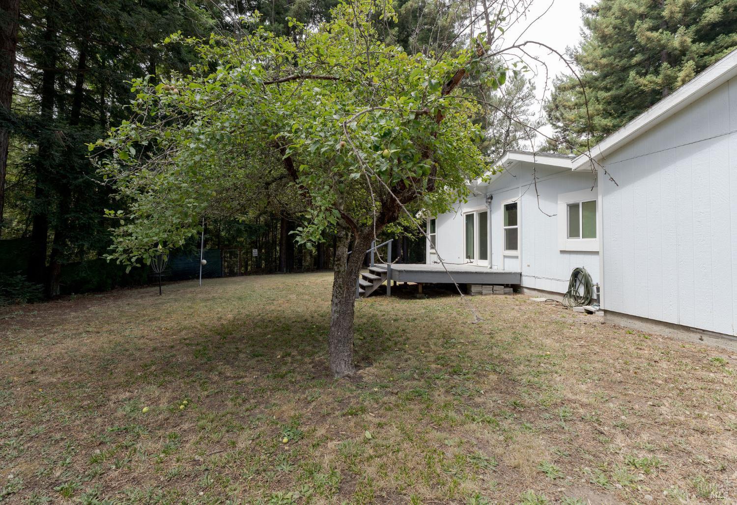 38350 Old Stage Road Gualala, CA 95445 - Photo 10 of 31 Large side yard off on primary bedroom.
