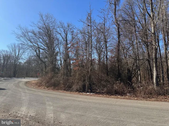 a view of a yard with trees