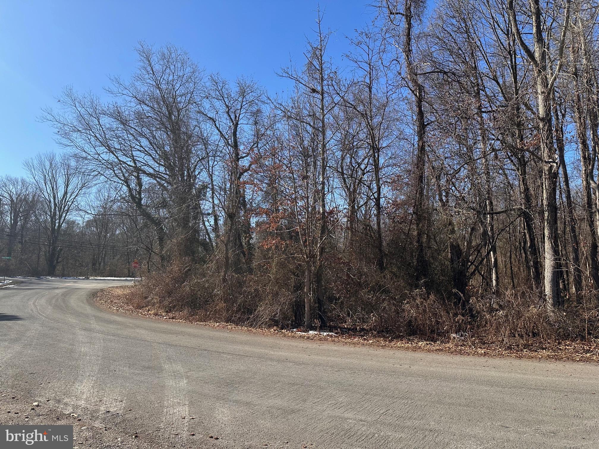 4846 Woods Wharf Road Shady Side, MD 20764 - Photo 4 of 6 a view of a yard with trees