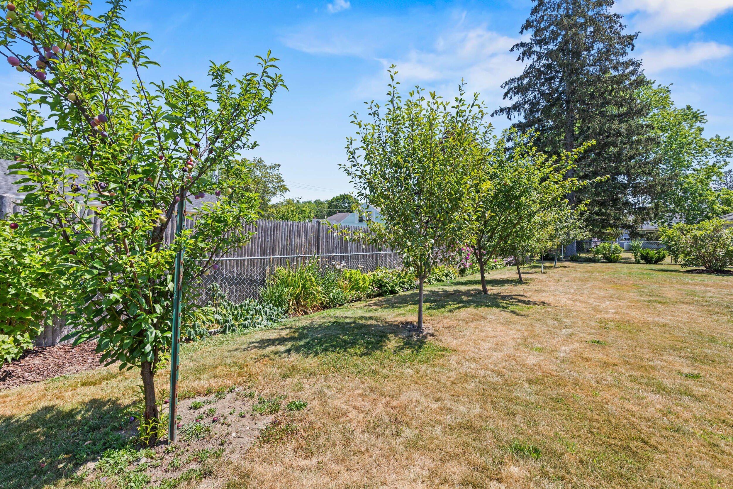 7 Willett Street Biddeford, ME 04005 - Photo 26 of 32 Back Yard