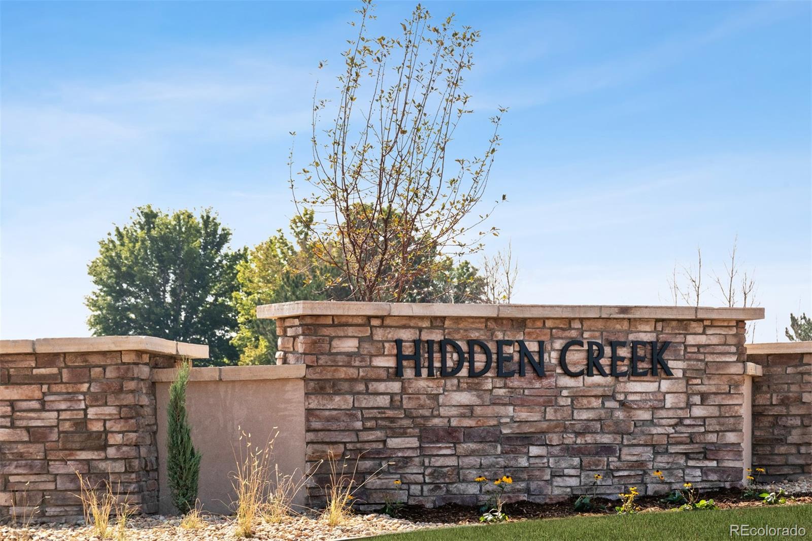 7308 Rio Grande Avenue Frederick, CO 80530 - Photo 17 of 28