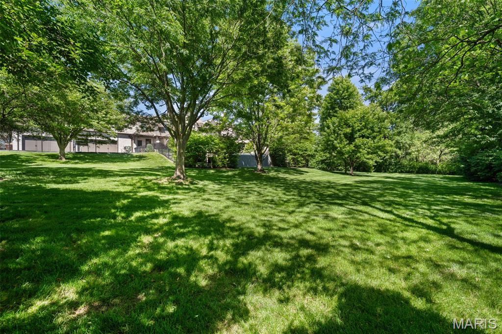10144 Winding Ridge Road Ladue, MO 63124 - Photo 65 of 69