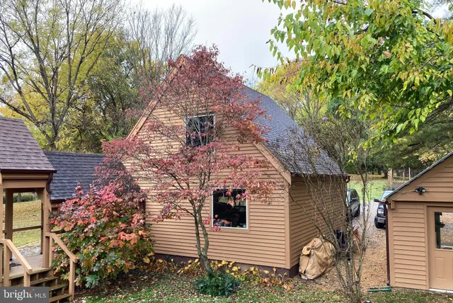 a view of a yard with a large tree