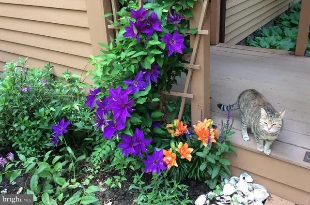a front view of house with yard