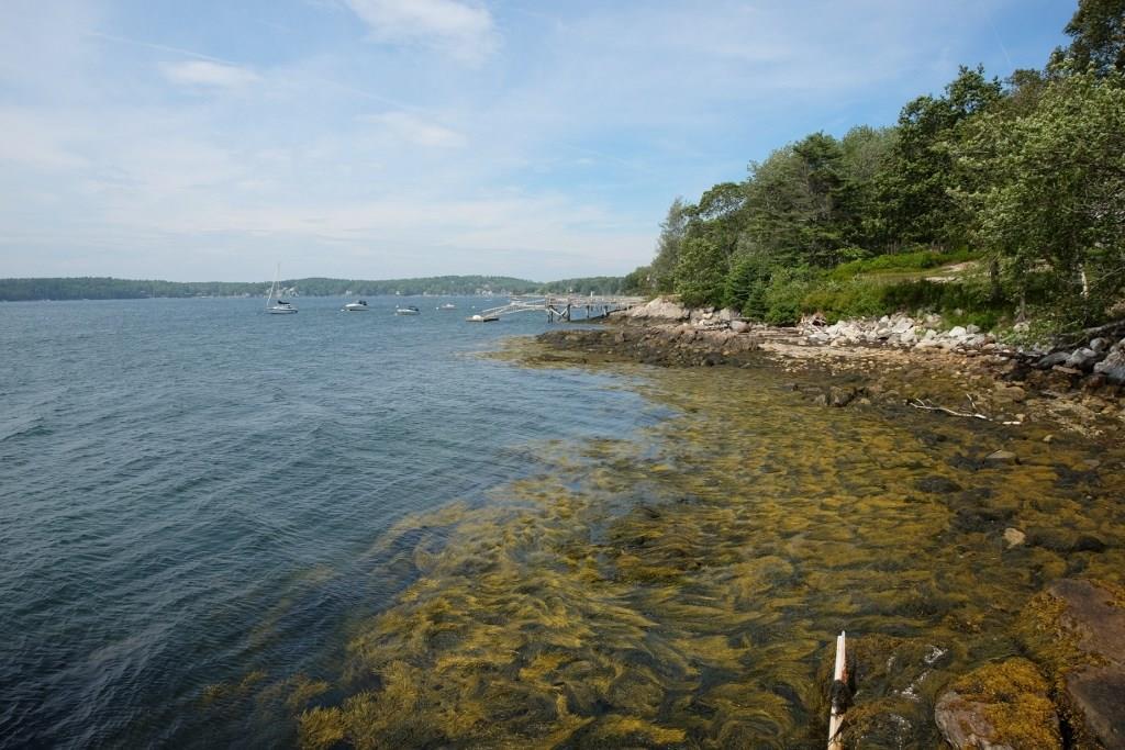 569 Ocean Point Road East Boothbay, ME 04544 - Photo 7 of 35 Photo