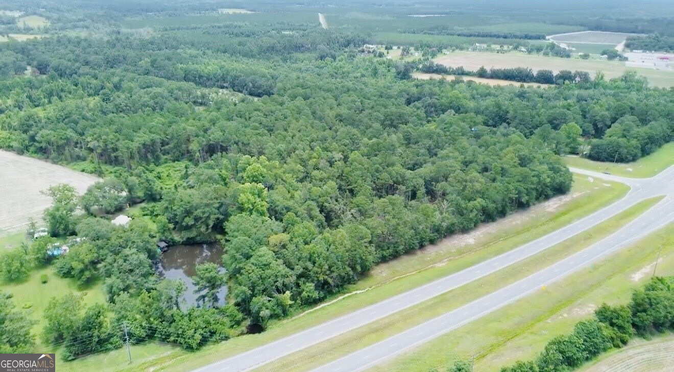0 Pineview Drive Waycross, GA 31503 - Photo 1 of 6 a view of a yard with large trees