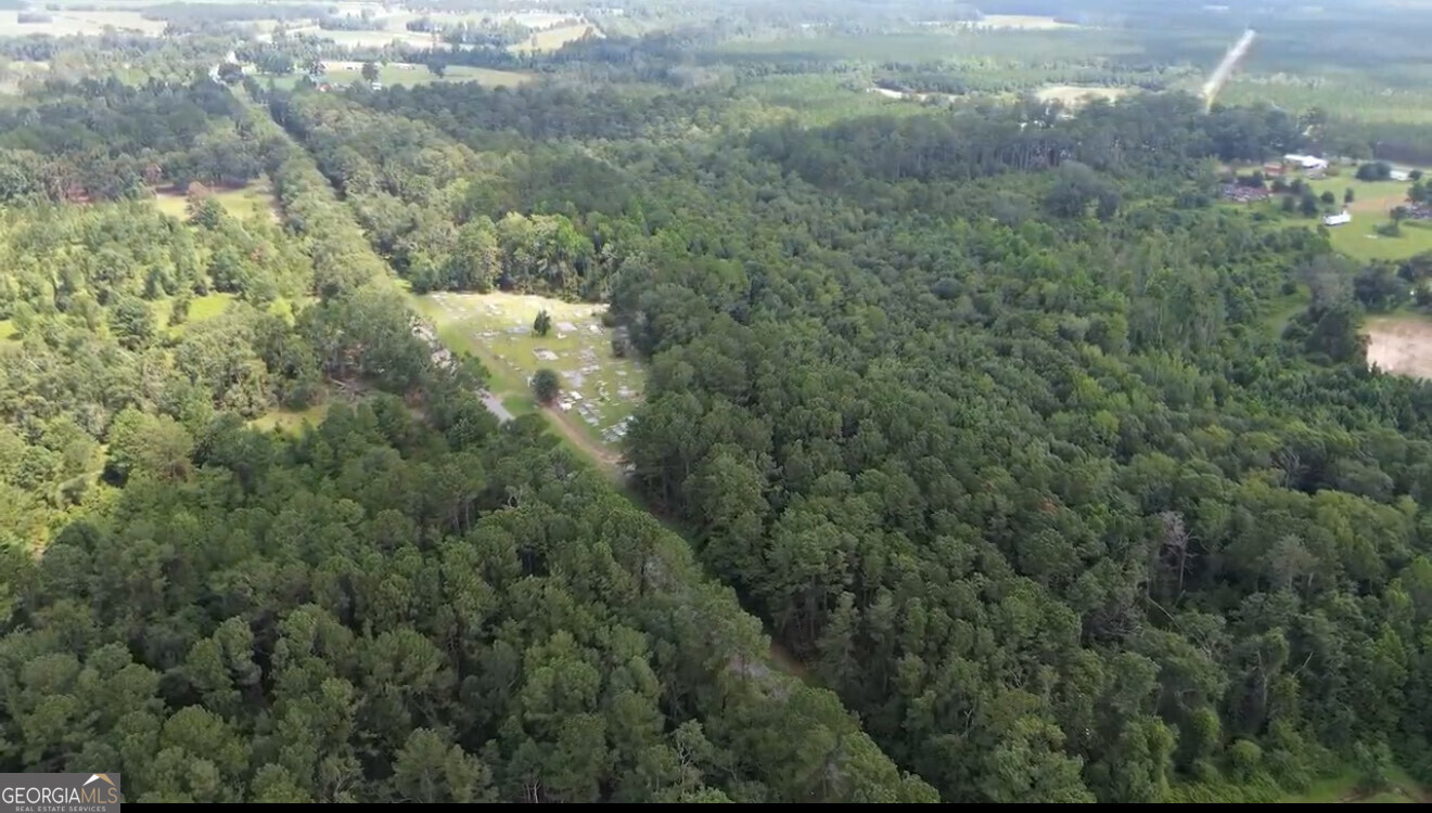 0 Pineview Drive Waycross, GA 31503 - Photo 3 of 6 a view of a forest with a street