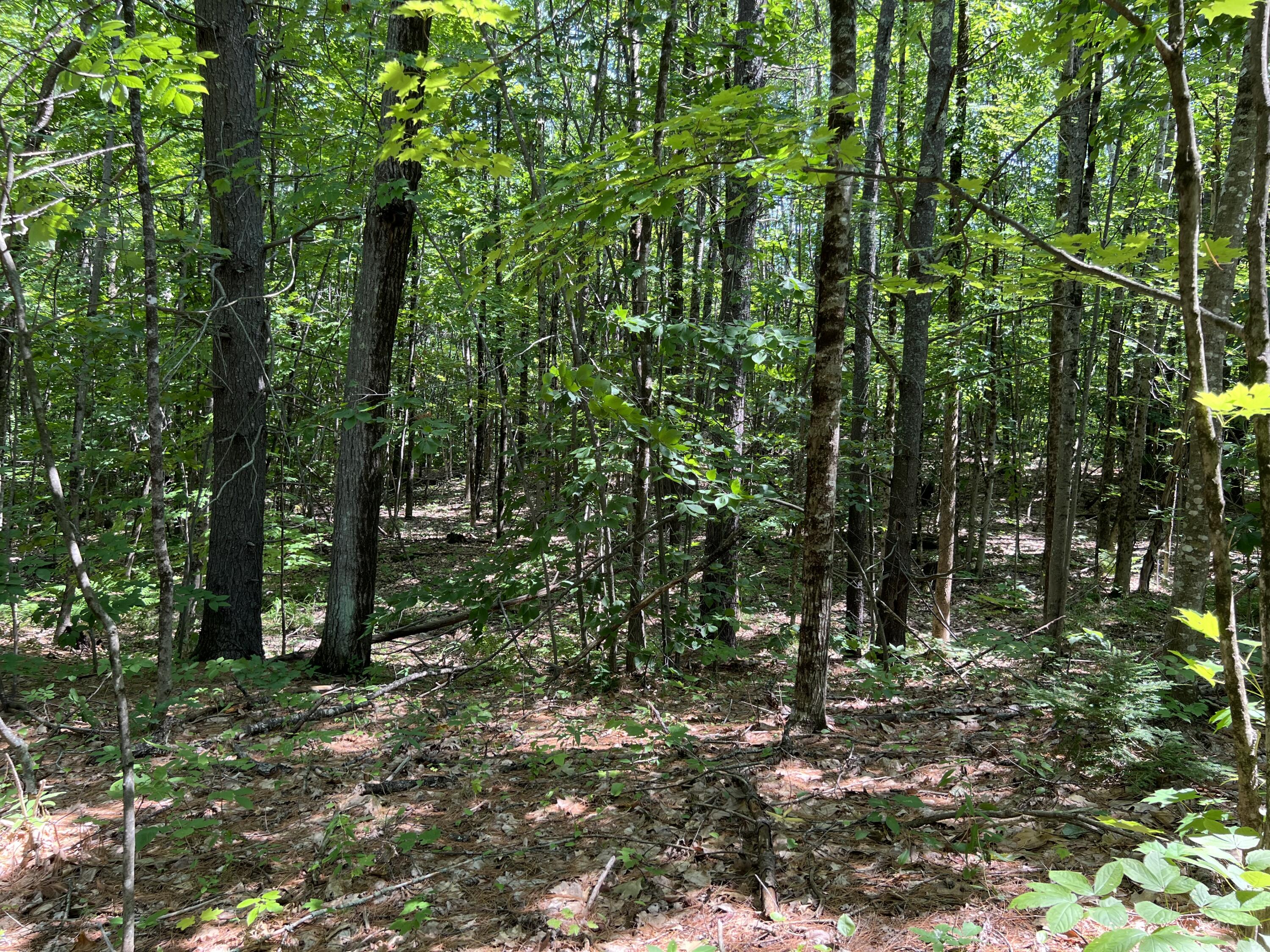 Tbd Burnham Road Limerick, ME 04048 - Photo 1 of 6 Land6