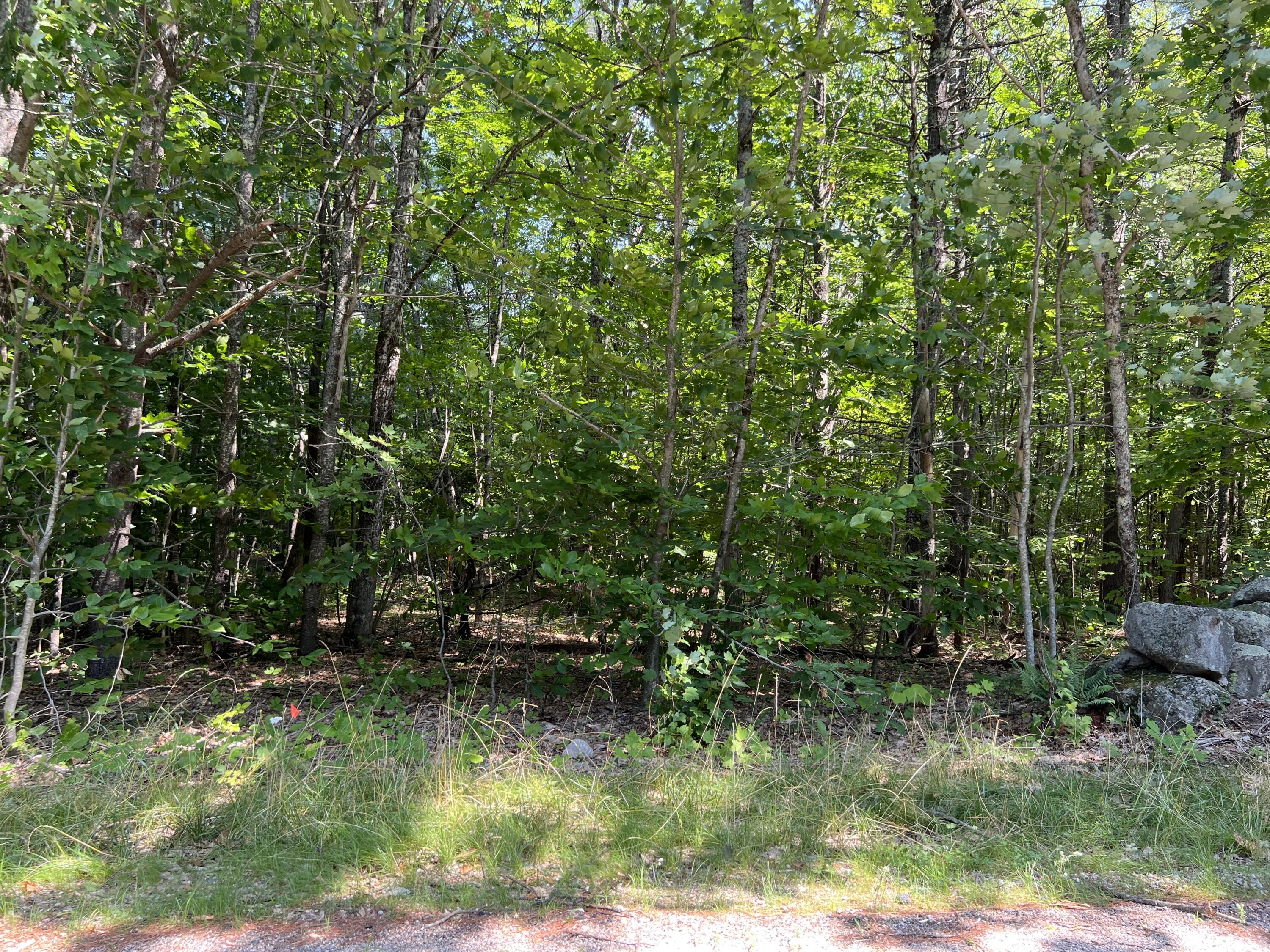 Tbd Burnham Road Limerick, ME 04048 - Photo 2 of 6 Land5