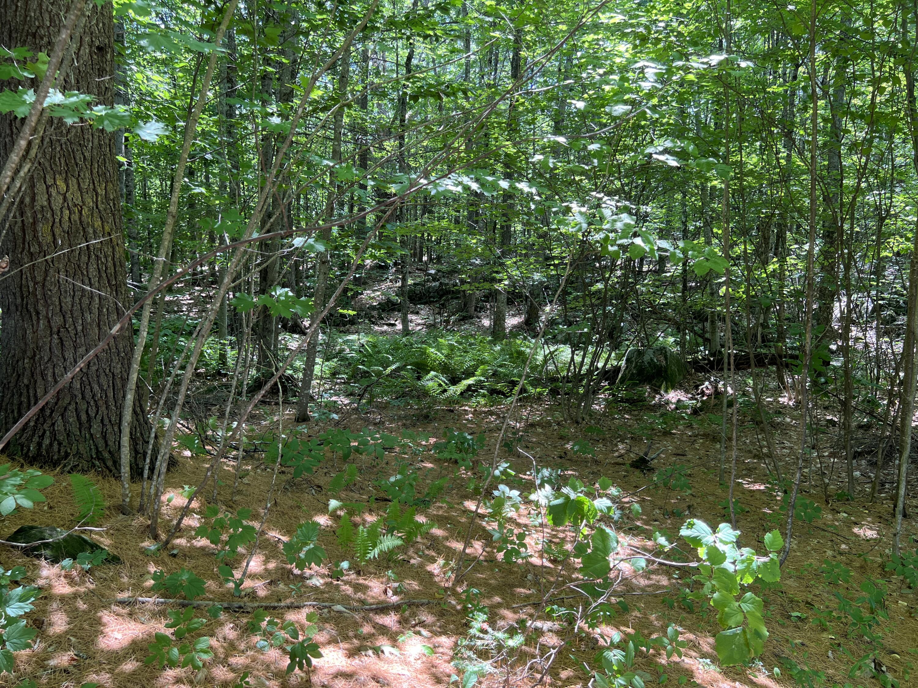 Tbd Burnham Road Limerick, ME 04048 - Photo 3 of 6 Land1