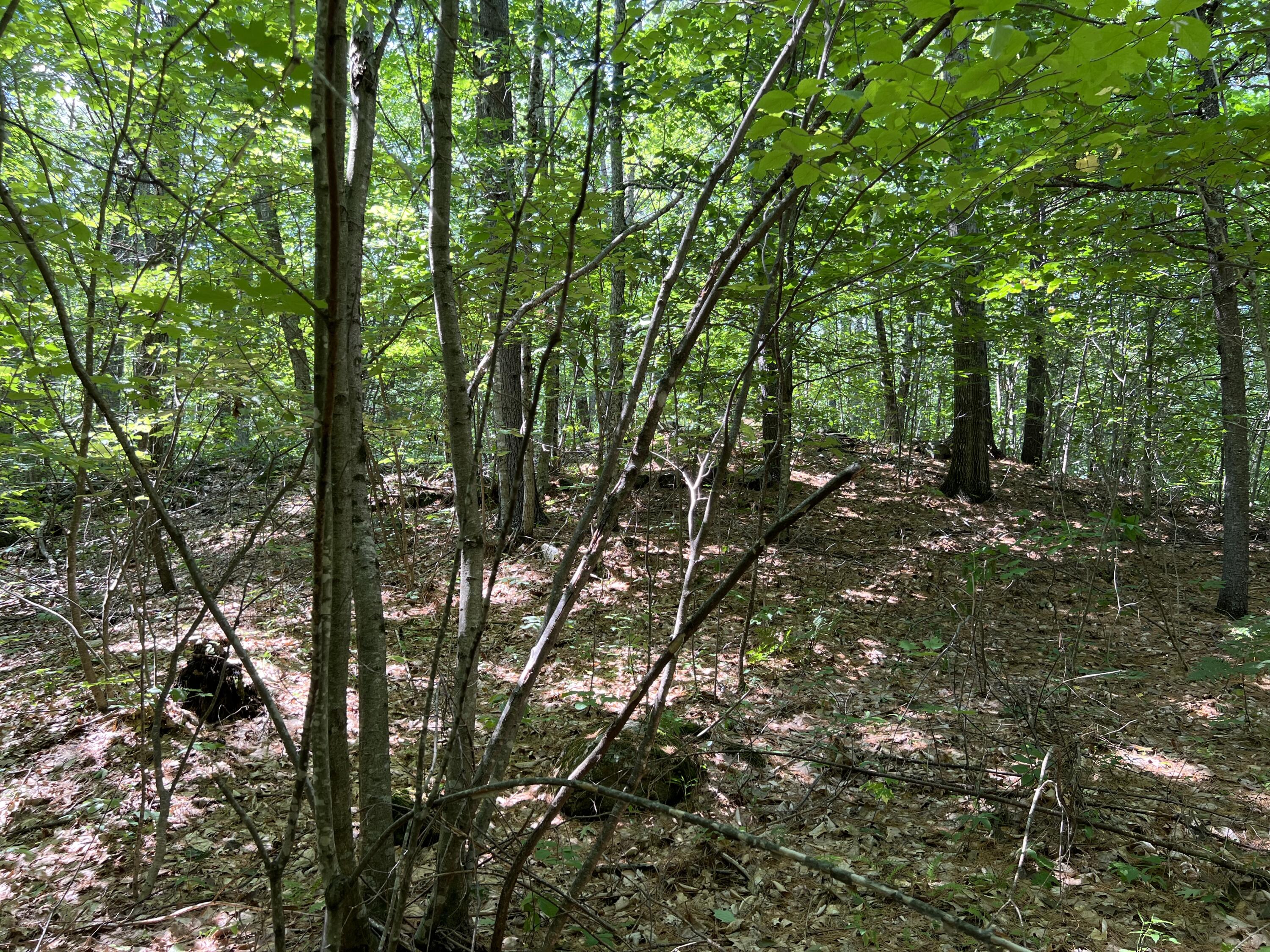 Tbd Burnham Road Limerick, ME 04048 - Photo 4 of 6 Land2