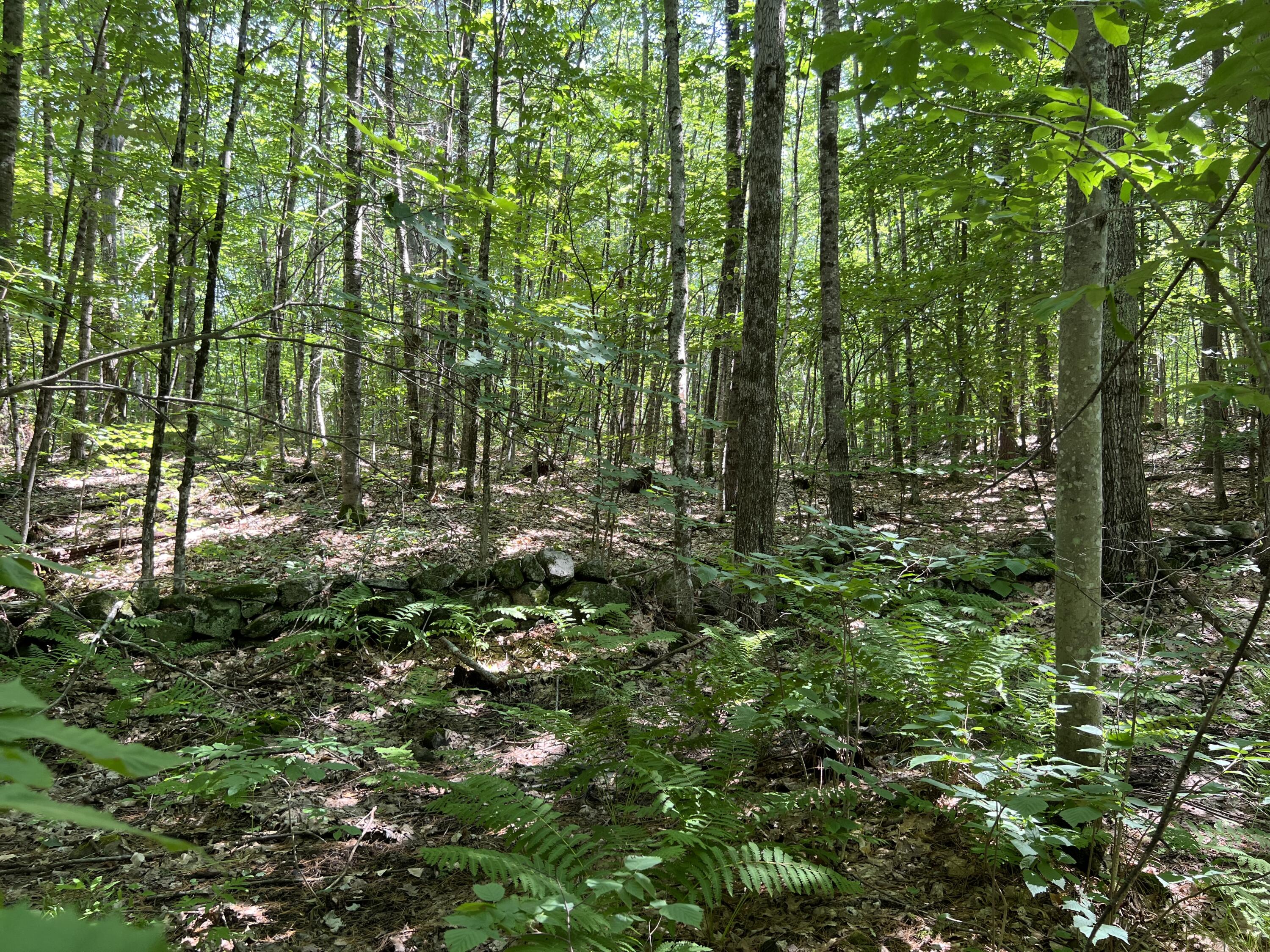 Tbd Burnham Road Limerick, ME 04048 - Photo 5 of 6 Land3