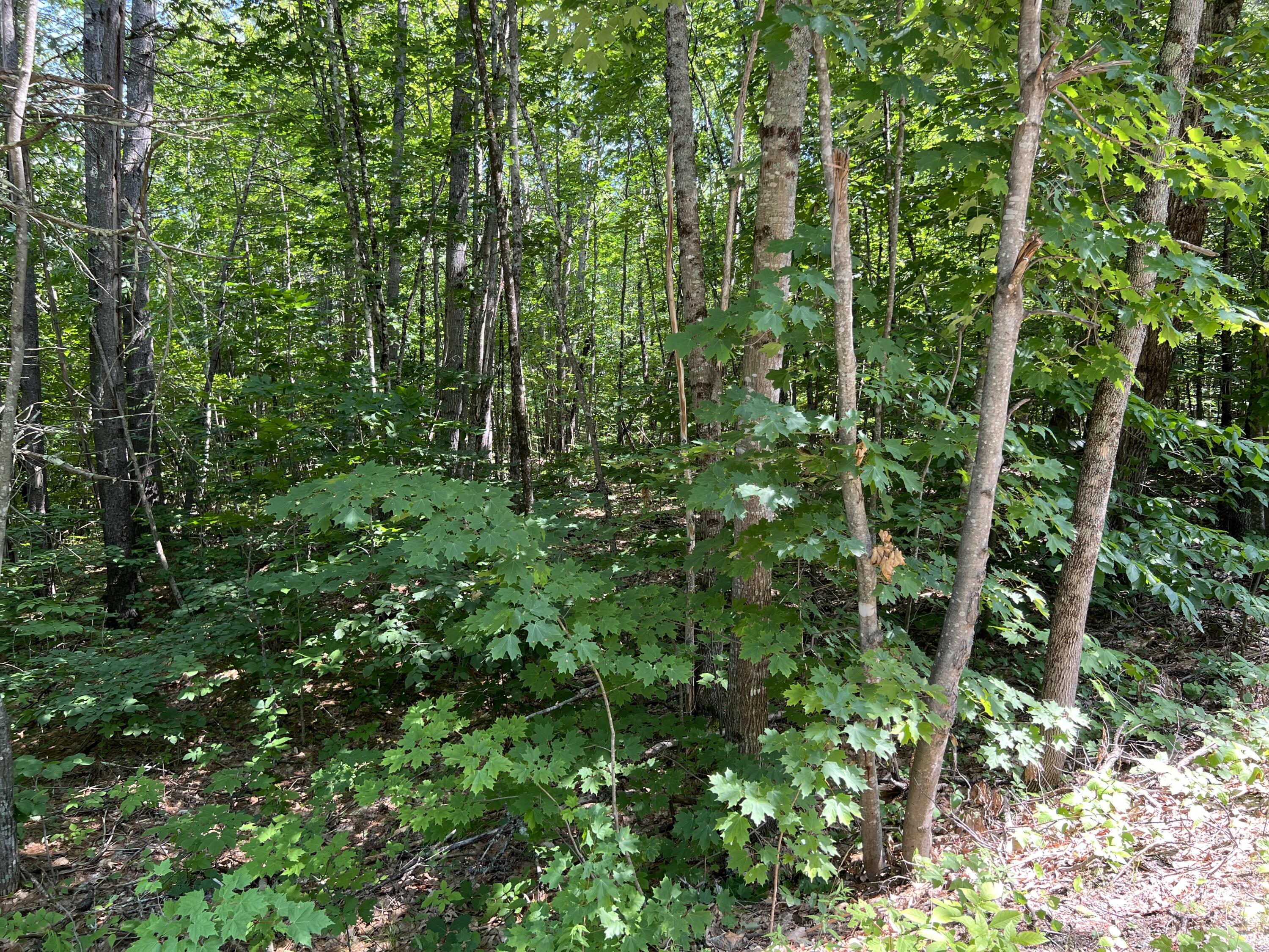 Tbd Burnham Road Limerick, ME 04048 - Photo 6 of 6 Land4