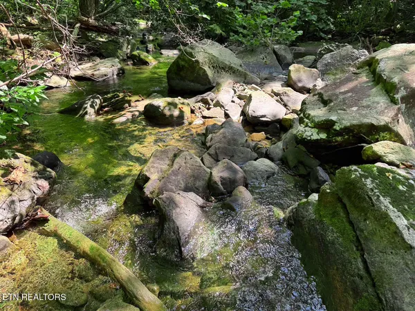 $1,299,000 | 0 Sr 111, Spencer, TN 38585